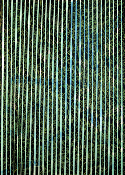 5.a